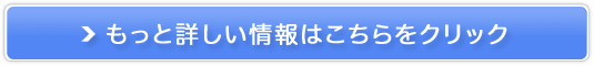 I[T|[g̔TCg